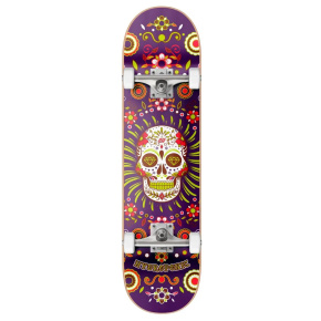 Patineta mexicana hidropónica 8.125 "Calavera Púrpura Patineta mexicana hidropónica 8.125 "Calavera Púrpura