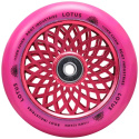 Ruedas Root Lotus 110x24mm Radiant Pink 2pcs