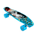 Póster Skateboard Street Surfing BEACH BOARD Glow Rough